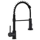 Commercial Style Kitchen Sink Faucet Single Handle with Pull Down Sprayer,Black Painting Kitchen Tap