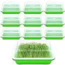 Rtteri 10 Pcs Seed Sprouter Tray Cultivation Germination Tray with Lid Microgreens Growing Kit Seed Sprouting Tray Planting Tray for Indoors or Outdoors Sprouting Seeds Wheatgrass Bean Microgreens