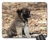 Gaming Mouse Pads,Mouse mat,Puppy Black Dog Nature