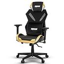 Drogo Ogre Multi Purpose Ergonomic Mesh Gaming Chair with Adjustable Seat, 3D Armrest, Breathable Mesh, Head Support & Memory Foam Lumbar Pillow | Desk Chair | Home & Office Chair with Recline (Gold)
