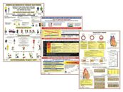  Carteles de ejercicio cardíaco saludable gráficos de información sobre enfermedades cardíacas