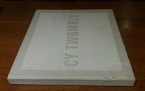 CY TWOMBLY AT DAROS AUDIBLE SILENCE ART BOOK franz joan kline mitchell basquiat