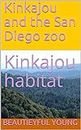 Kinkajou and the San Diego zoo: Kinkajou habitat