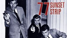 77 Sunset Strip Classic Tv Show