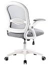Home Office Chair Ergonomic Desk Chair Adjustable Height Mesh Computer Chair Swivel Task Chair with Flip-up Armrests (Grey/White)