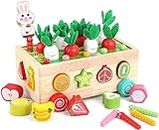 BeFunky Montessori Toys for Toddlers, Wooden Carrot Pulling Baby Toy 12-18 Months, Sensory Learning Educational Shape Sorter Games for Fine Motor Skill, Birthday Gifts for 1 2 3 Year Old Boy Girl