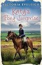 Katy's Pony Surprise: Book 3 (Katy's Exmoor Ponies)
