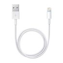 Apple USB Type-A to Lightning Cable (1.6') ME291AM/A