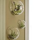 Set of 3 Wall Bubble Terrariums Glass Planters Garden Indoor Wall Mounted Air Plant for Living Room or Bedroom Unique Decorations