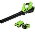 Greenworks 40V(110 MPH / 390 CFM)Cordless Axial Blower,2.5Ah Battery and Charger