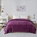 Intelligent Design Microlight Plush Luxury, Oversized Throw-Blanket, Premium All Season Cover for Bed, Couch, Twin/Twin XL, Purple