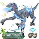 Kizmyee Ferngesteuerter Dinosaurier Spielzeug für Kinder - 2.4 GHz Realistische Dino Spielzeug mit Licht, Gehen, Brüllen, Wiederaufladbar Elektrischer Dino Geschenk für Jungen Mädchen ab 3 Jahren