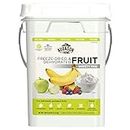 Augason Farms Freeze Dried Fruit Variety Pack 4 Gallon Kit
