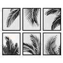 Woodrose Framed Wall Art Collage Print Gallery Set Black & White Film Grain Tropical Palm Leaves Nature Floral Photography Modern Decorative Rustic for Living Room, Bedroom, Office - 8"x10"x6 BLACK