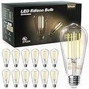 TJOY 12 Pack Vintage 8W ST58 LED Edison Light Bulbs 60W Equivalent, 800Lumens, 2700K Warm White, Dimmable, E26 Base LED Filament Bulbs, CRI80+, Antique Glass Style for Home, Bedroom, Office, Farmhouse