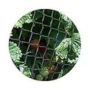 Bird Netting for Garden Fruit Crop Protection (2m x 10)