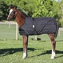 Schneiders Dura-Nylon Expandable Foal Horse Stable Blanket | Open Front & Bellyband Style | 420D Material for Horse Blankets | Lightweight Mini Horse Blanket | Color Black | Size 38 to 45