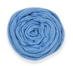 Needle Felting Wool Yarn Roving DIY Craft Materials (LightBlue-100g)