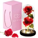 Beauty and The Beast Rose in Glass Dome Birthday Gifts Perfect Gift  For Women