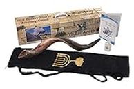 SHOFAR Set Half Polished Half Natural Kudu Horn Yemenite + Bag + Spray + Guide + Carrying Box Case (28"-30") From Israel