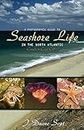 A Photographic Guide to Seashore Life in the North Atlantic: Canada to Cape Cod