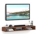 Redwud Tracy Wooden TV Entertainment Unit/Wall Set Top Box Stand/TV Cabinet for Wall/Set Top Box Holder for Home (Walnut)