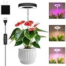 Grow Lights for Indoor Plants, 48 LEDs Full Spectrum LED Plant Halo Grow Light with Auto On/Off Timer 3/9/12H, Height Adjustable, 10 Dimmable Brightness, 3 Lighting Spectrum, Ideal for Small Plant