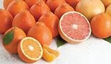 Rare Florida Honeybell Oranges Honeybell Tangelos AND Ruby Red Grapefruit Grove Fresh 15lbs
