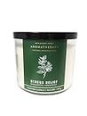 Bath and Body Works Aromatherapy Eucalyptus Spearmint Scented Candle 14.5 Oz