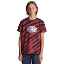 T-Shirt DC SHOES "Wes" Gr. 12(148-156cm), rot (earth red tie dye) Kinder Shirts T-Shirts