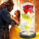Beauty And The Beast Rose In LED Glass Dome Eternal Red Rose Valentines Day Gift