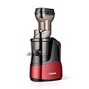 DEWINNER Vertical Slow Masticating Cold Press Pure Juicer Compact with Reverse Function and Easy to Clean for Home