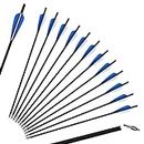 SinoArt 20" Carbon Crossbow Bolt Arrows Crossbolt Arrows with 4" vanes for Competition Practice Hunting