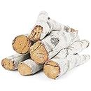QuliMetal 26.8" Large Gas Fireplace Logs, Ceramic White Birch Wood Logs for Indoor Inserts, Outdoor Firebowl, Fire Pits, Vented, Propane, Gel, Ethanol, Electric, Realistic Fireplace Decoration, 6 Pcs