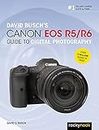 David Busch's Canon EOS R5/R6 Guide to Digital Photography (The David Busch Camera Guide Series)