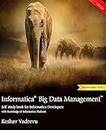 Informatica Big Data Management: Self study book for Informatica Developers