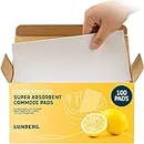 Lunderg Lemon Scented Super Absorbent Commode Pads - Medical Grade Value Pack 100 Count - for Bedside Commode Liners Disposable, Adult Commode Chair, Portable Toilet Bags - Make Your Life Easier