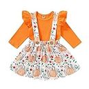 Baby Girl Halloween Outfit Toddler Skirt Set Ruffle Shirt Top Pumpkin Ghost Suspender Dress Halloween Clothes for Girls, Pumpkin Skirt Set, 2-3T