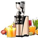 Juicer Machines, Slow Masticating Juicer Extractor, Cold Press Juicer High Nutrient Fruit and Vegetable Juice with Juice Jug Brush for Cleaning150W,Gold fengong