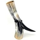 Drinking Horn with Horn Stand Ox Horn - Polished - Viking Drinking Horn Beer Cup Mug - 10 to 12 Inches in Length Perfect for Reenactment …