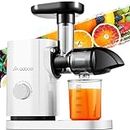Masticating Juicer, AAOBOSI Slow Juicer Machines with Quiet Motor/Reverse Function/Easy to Clean Brush - Delicate Crushing Without Filtering - Cold Press Juicer for Fruit and Vegetable, White