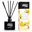 Reed Diffuser, Vanilla Scented Reed Diffusers for Home, Come with 6 Reed Diffuser Sticks, Decorative Air Freshener for Bathroom& Office
