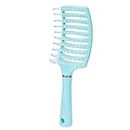 Spazzola per capelli con pallet, strumento di acconciatura per capelli ventilato per salone di parrucchiere, per uomini e donne a casa (blu)