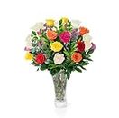 Fresh Flowers For Mothers Day Delivery - Next-Day Delivery - 24 Assorted Roses - Flower Fresh Bouquet - Fresh Cut Long Stem Roses Bouquet of Flowers Birthday Gifts for Women -Aquarossa Farms