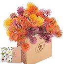 SNAILGARDEN 63 Heads Artificial Dandelion Flower,3 Bunches 18 Pcs Small Onion Flower Ball,Hydrangea Bouquet with Greeting Card & Brown Paper Bag for Arrangement Gift