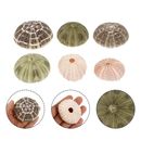 6pcs Hanging Glass Sea Shell Air Plant Holder for Home Garden Decoration-RL