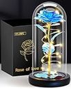 Otlonpe Birthday Gifts for Women, Mothers Day Flowers Gifts for Mom Wife from Kids Daughter Son Husband, Rainbow Light Up Rose in A Glass Dome Gifts for Mom Wife, Mother's Day, Christmas Day