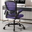 Office Chair, Ergonomic Desk Chair with Adjustable Lumbar Support & Seat Height, High Back Mesh Computer Chair with Flip-up Armrests-BIFMA Passed Task Chairs for Home Office (Modern, Amethyst)
