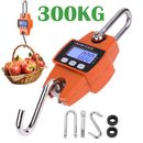 Mini Crane Scale Weight 300kg Heavy Duty Hanging Hook Scales Portable Scale