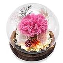 Luxbrand Long Lasting Real Flower Fresh Bouquet with LED Light, Preserved Rose and Carnation Unique Forever Flower Gift for Woman, Anniversary, Birthday Gift for Mom Grandma Wife